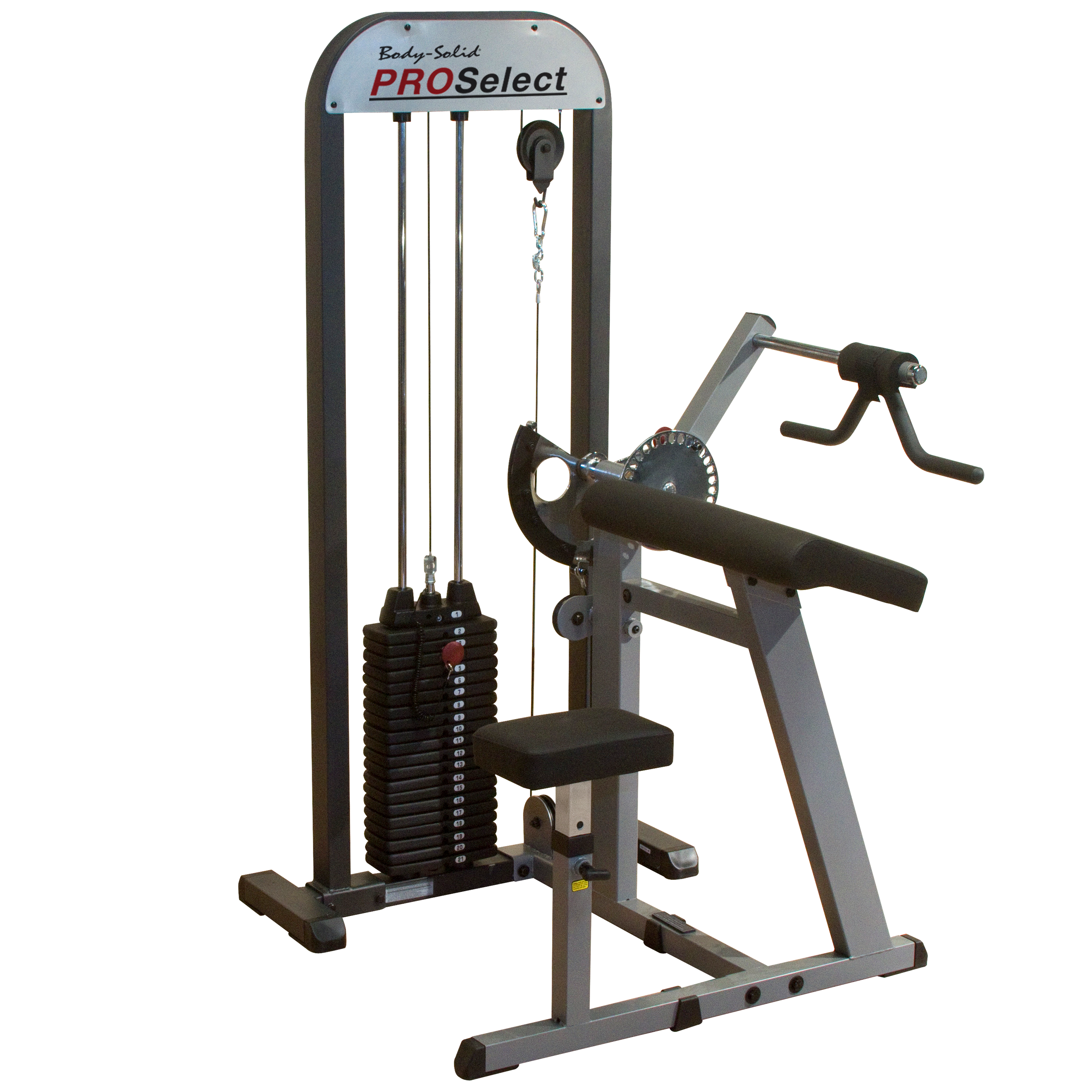 Physique Machine Body-Solid GCBT-STK Bicep and Tricep Machine – Physique India